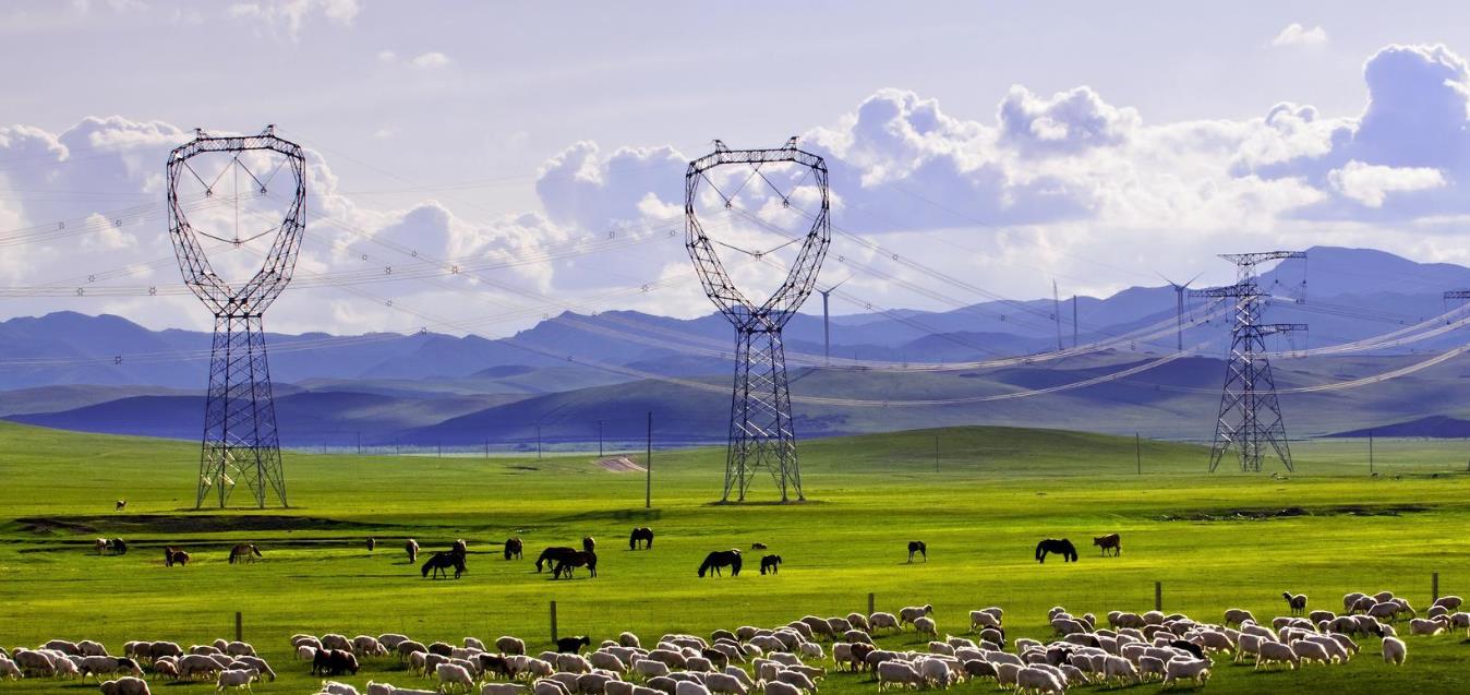 国家电网 14亿人都需要的电网业务，为何1年内亏损178亿，原因出自哪里？