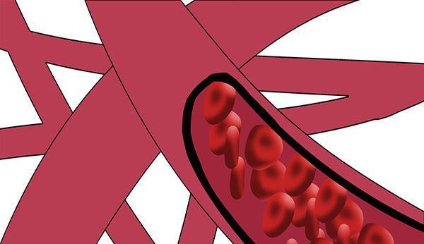 微生物 人死后，血液是如何变没的？最后流去哪了？这下知道答案了