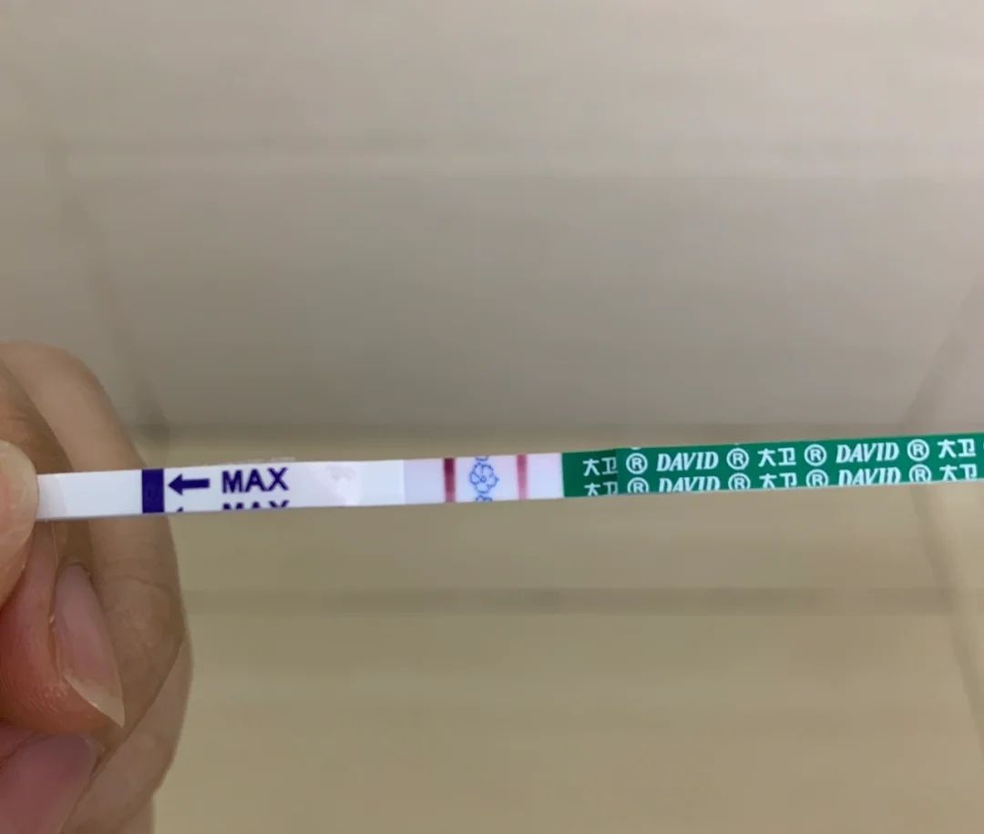 猪先生的李小姐 接好孕~~第一个月备孕就成功，本来已经要放弃，结果虎宝还是来了