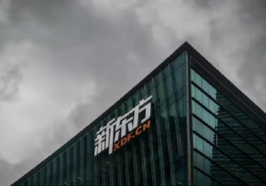 育妈计|新东方也转型了?成立科技公司,要干这件事