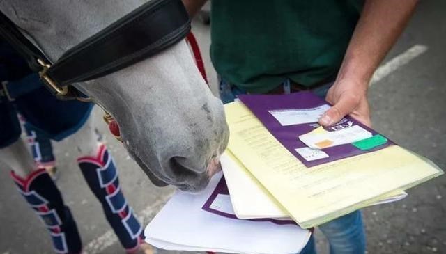 涨“姿势”了！生物课本上不会出现的，12个关于动物的小秘密
