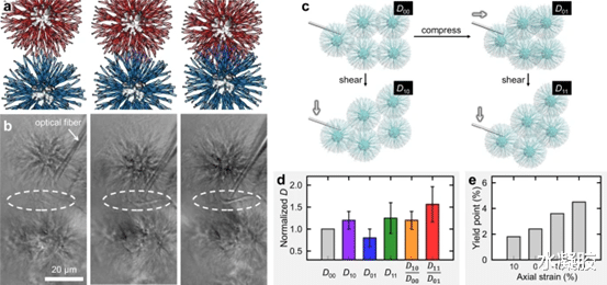 钻石 《自然·通讯》华南理工大学蒋凌翔: 星状体互穿水凝胶模拟组织力学