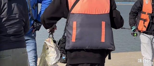 姐姐|新手大礼包?江苏新手钓友钓起罕见大鲈鱼,网友:完了,上瘾了