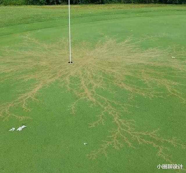 22张证明地球永远超乎想象的惊奇照片,太不可思议了