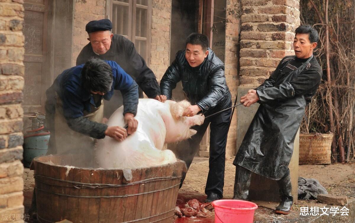 思想文学会 素食主义者：如果屠宰场的外墙是玻璃做的，你也会是一个素食者