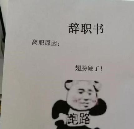 穿衣搭配|爆笑辞职引热议，00后硬核操作，网友纷纷嘲笑，三代人的离职区别