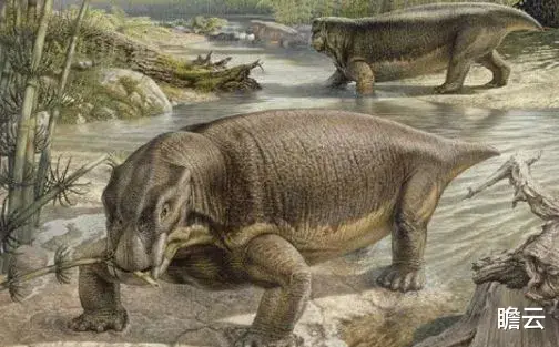 长达40亿年的生命历程,人类是如何一步步进化来的?(人类进化极简史)