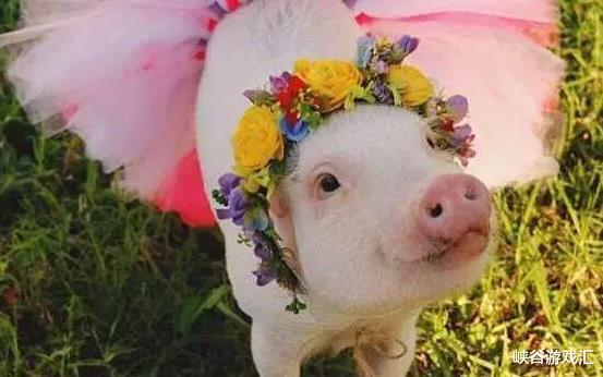 生肖|既有毅力又有耐心的4个生肖，迟早能熬出头，好事多磨