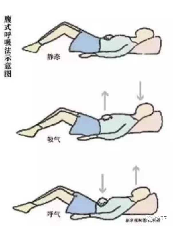 洗髓功志诚|呼吸到脐，寿与天齐！（腹式呼吸法详解）