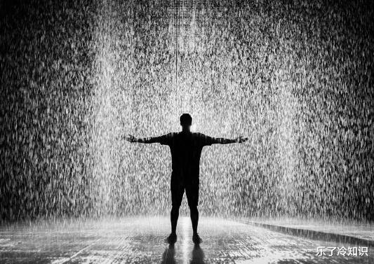 倪萍|倪萍痛恨的前任，一生被其所毁，如今身家过亿也没得到原谅