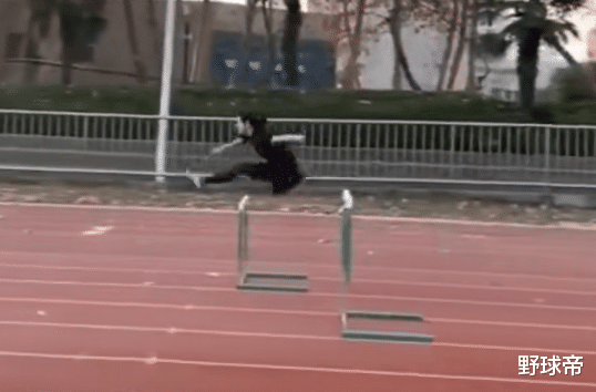 神雕侠侣|点赞430万，号称“幸运女神”！赖益烨的神仙女友，又美又能打啊