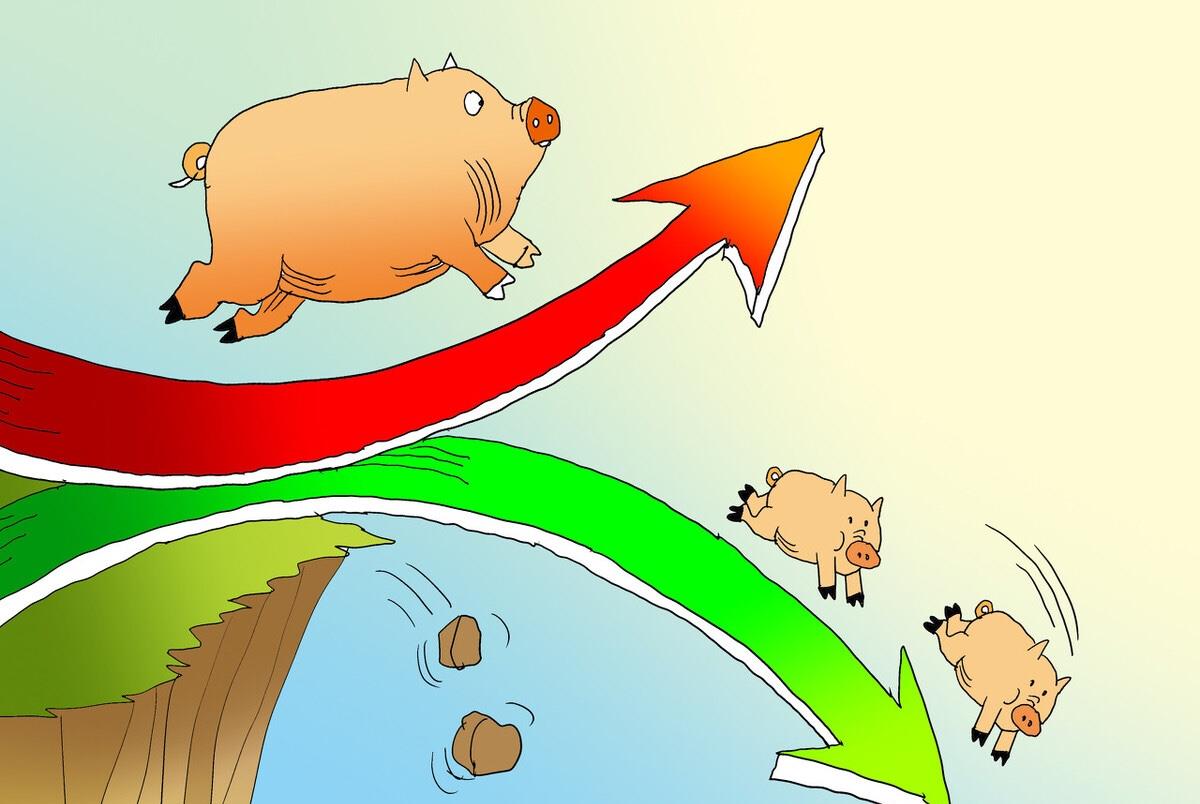 生猪价格 猪价“一跌不振”，又出现3大利空，5月猪市要跌到底？有望企稳