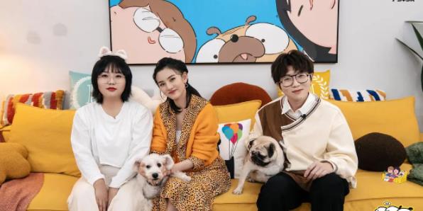 张晚意|宋祖儿做客《毛雪汪》,毛不易首谈对张晚意的印象,却遭到质疑?