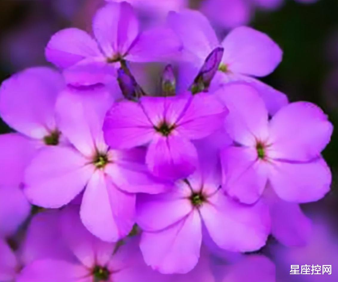 |哪几个月份出生的人，勇闯难关，虽然一路险境，仍能突飞猛进！