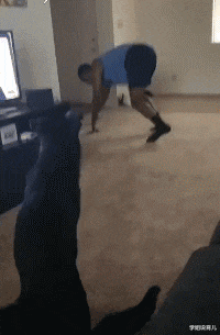 学姐说育儿|家里新装了监控，没来得及跟老婆说就出差了，结果绿的明明白白！