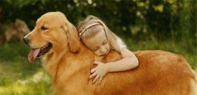 芷兰小时光|狗子就是这样把你从主人变成佣人的，希望你不会如此幸运