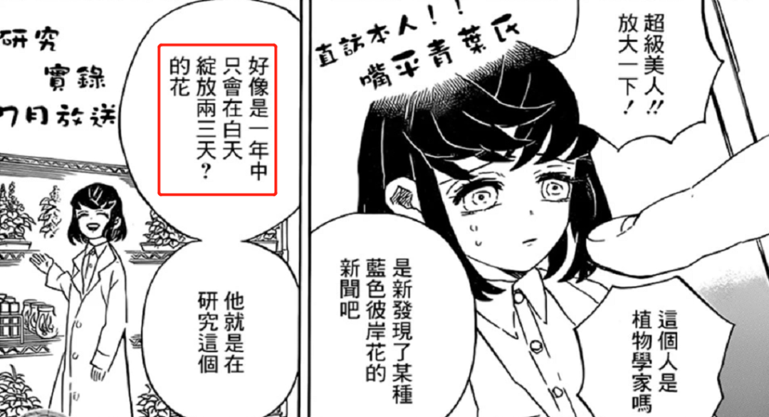 acgn漫评|无惨找不到蓝色彼岸花，网友吐槽：你就不能换个思路？