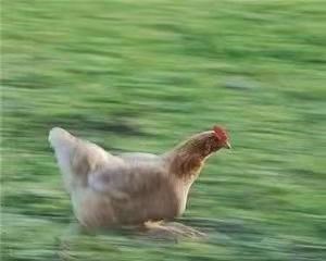 月月读唐诗|天之骄子弑母真实原因:难道真是有羞愧“秘密”被妈发现了?