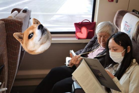 我独坐小窗一盏清茶 郑爽外婆庆生照曝光,现场简陋笑容满面,郑爽要“涅槃重生”了?