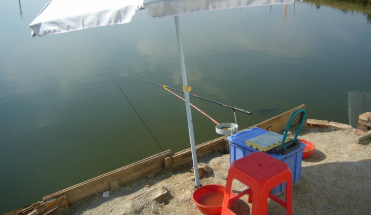 摩尔庄园|夏天，我为什么推荐晨钓？是因为有这三个优势