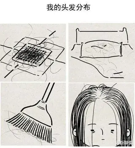 周新聊情|武汉水务集团:年轻人脱发跟水的软硬没有任何关系