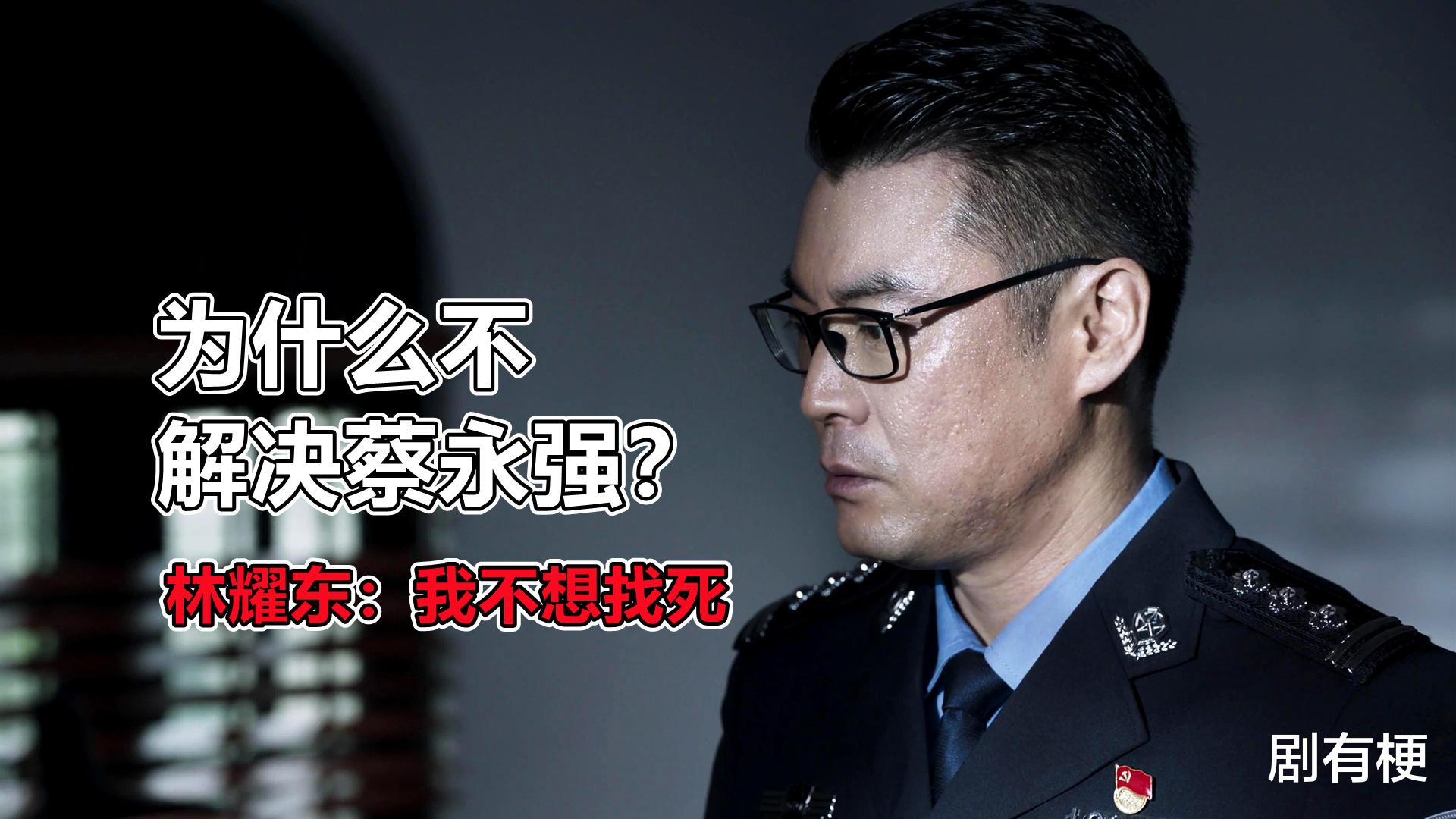 蔡永强|《破冰行动》林耀东为什么不干掉蔡永强？关键是他是缉毒大队长