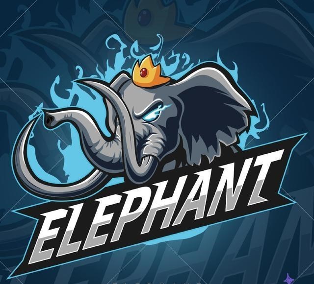 安一妈妈学育儿|Dota2:Elephant小象要闭关修炼了?拒绝者:TI结束前不会开直播