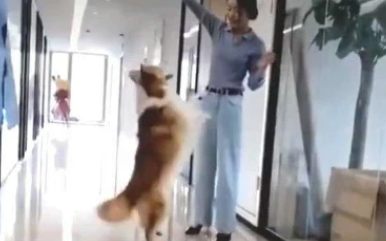 哲学筱筱|林生斌现任妻子高调秀恩爱，发甜文，网友质疑：林生斌没事了？