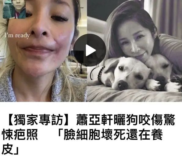 InsDaily|萧亚轩与小16岁男友分手了，恋爱小天才人设要崩了吗？