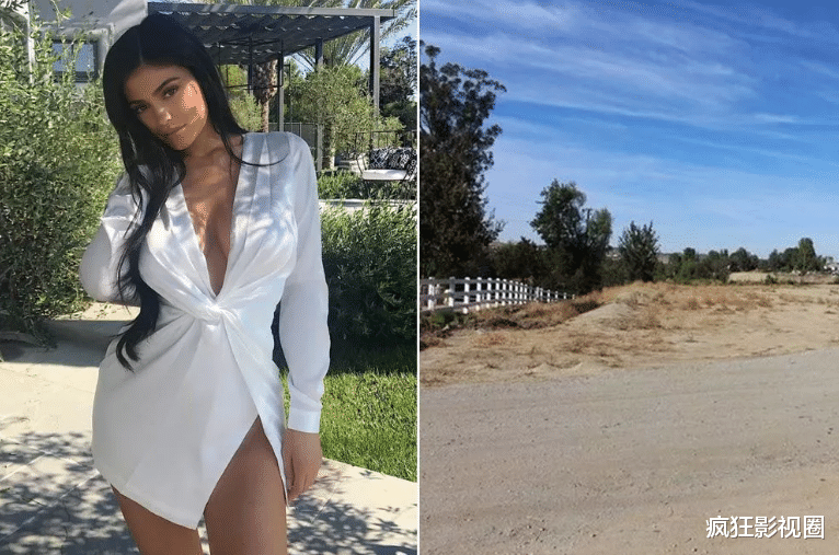 凯莉·詹娜|美国顶级名媛的奢侈生活什么样?别墅养宠物、飞机当代步