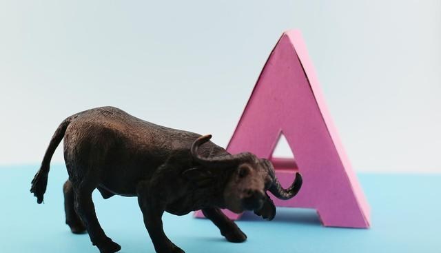 A股 本月起，两大调整过后，A股机会该来了？