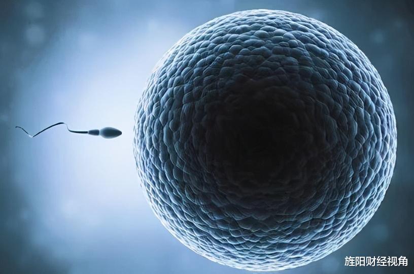 A股 下周A股看点!四大板块将逼空大涨,两个地雷千万别踩!