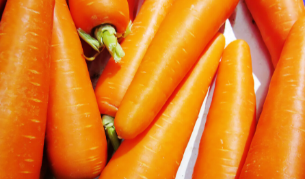 熊猫医学社|一家三口确诊HPV，医生：炒菜爱放“1物”，铁打的身体也受不住