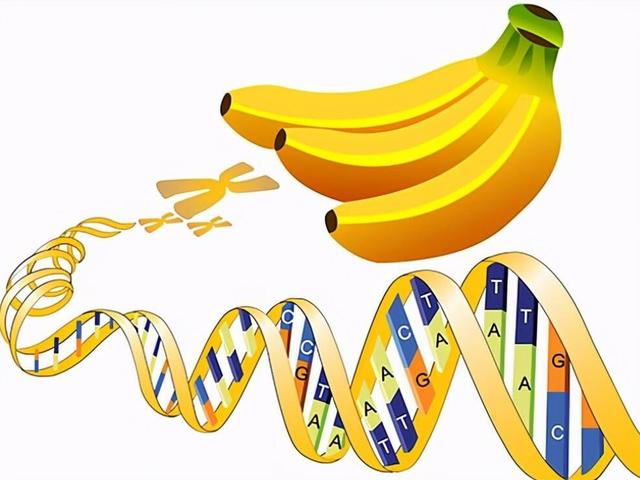 人类从哪里来?基因科学揭秘人类起源背后的真相