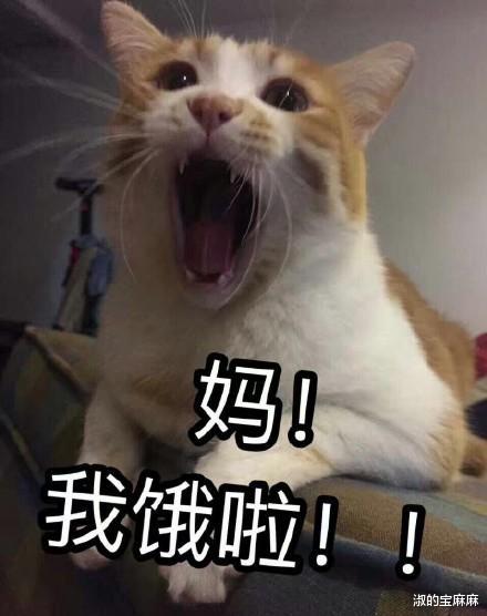 淑的宝麻麻|妈妈和儿子签《不要喊妈》条约,尴尬程度让人脸红,网友:叫阿姨