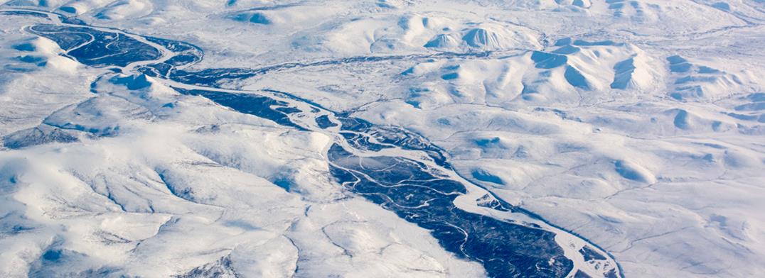  人类应该自省了：科学家在西伯利亚冻土层发现已经灭绝的史前生物