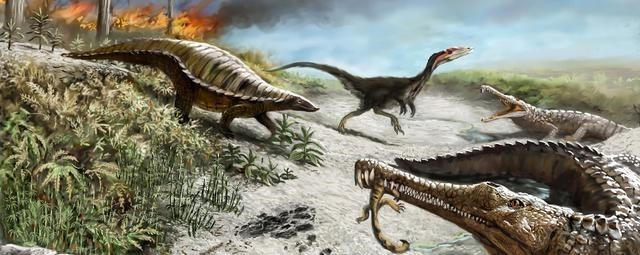 鳄鱼 鳄鱼家族有多倒霉？努力两亿年，每次都在要称霸时被地球“针对”