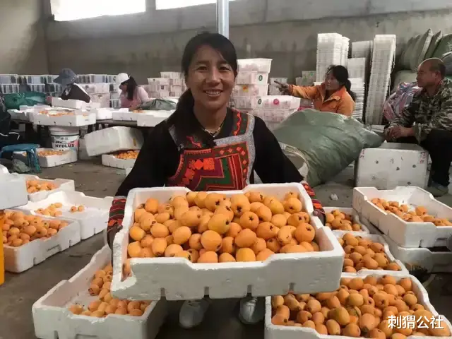 企业微信|微信里的新农具