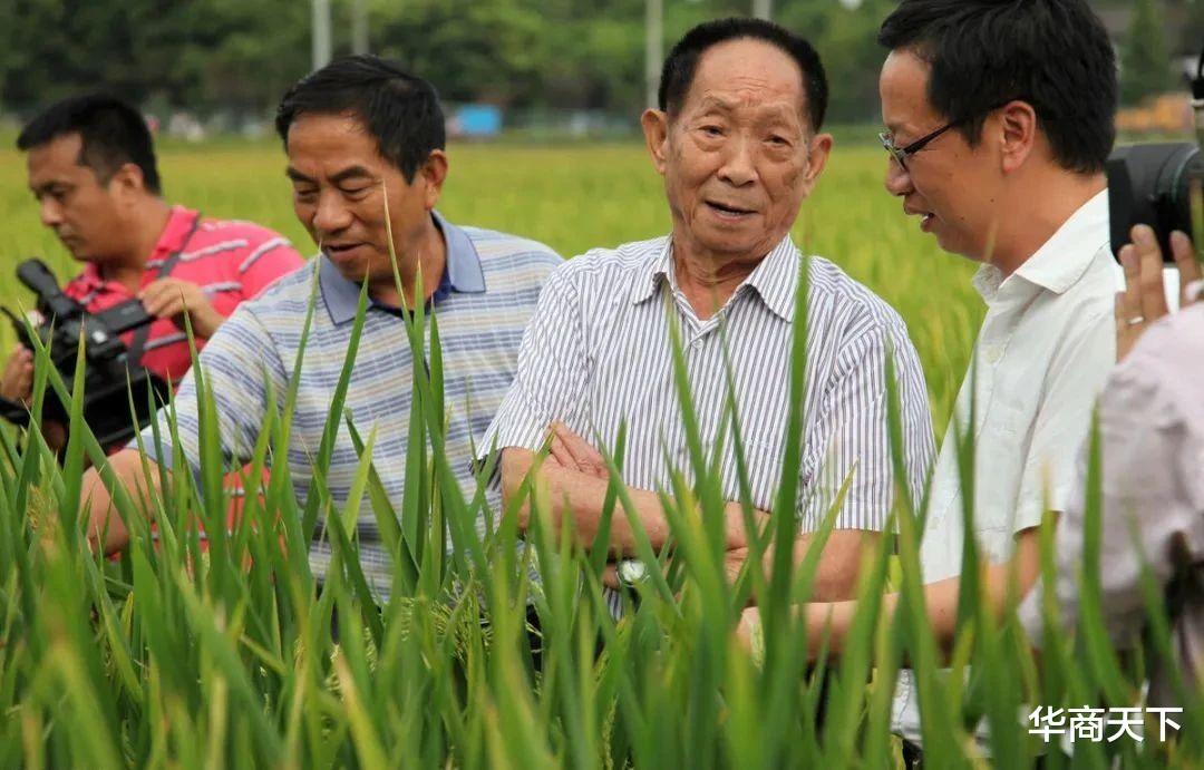 华商天下 您好袁老，无奈地归去来兮！是您让我们吃饱，也让一些人吃得太饱