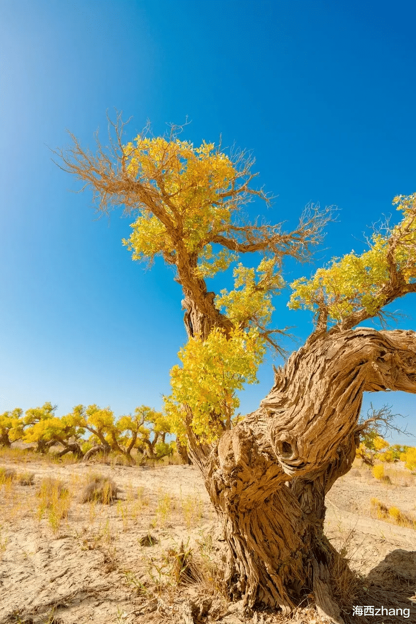 海西zhang 朋友圈可以用来炫耀的地方，只要你去过，就可以用来吹一辈子