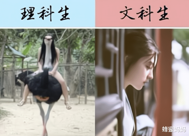 求职|工作5年才发现，“文科生”和“理科生”的差距明显，多数人后悔