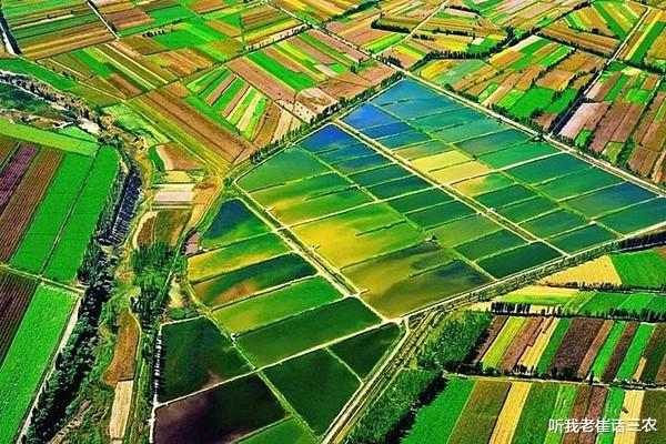 |耕地有红线，乱占建房不被允许，但已在建或建成的怎么处理