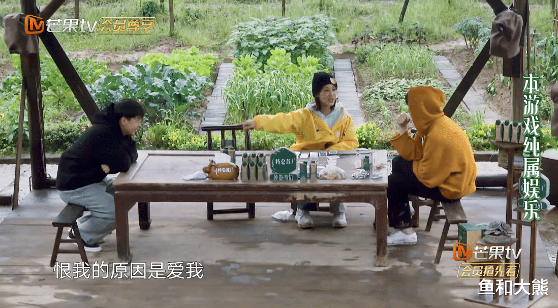 张艺兴|《向往5》张艺兴又被喷，张子枫牵涉其中，引入流量的后遗症来了