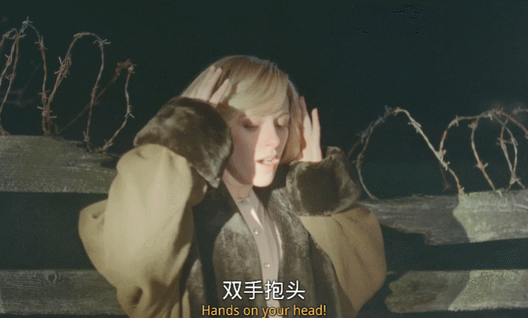 戴安娜王妃|内娱离婚大瓜，都没她轰动