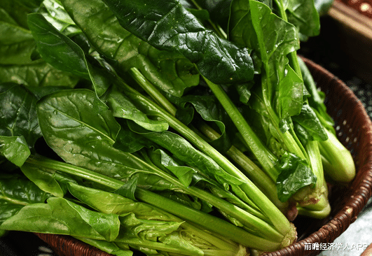 菠菜|菠菜吃起来！研究发现：吃菠菜可以预防结肠癌