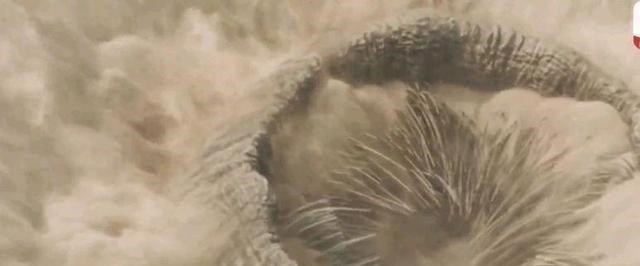 孟非|甜茶主演的电影《沙丘》，熬过一小时才能看出超越空间感的科幻味