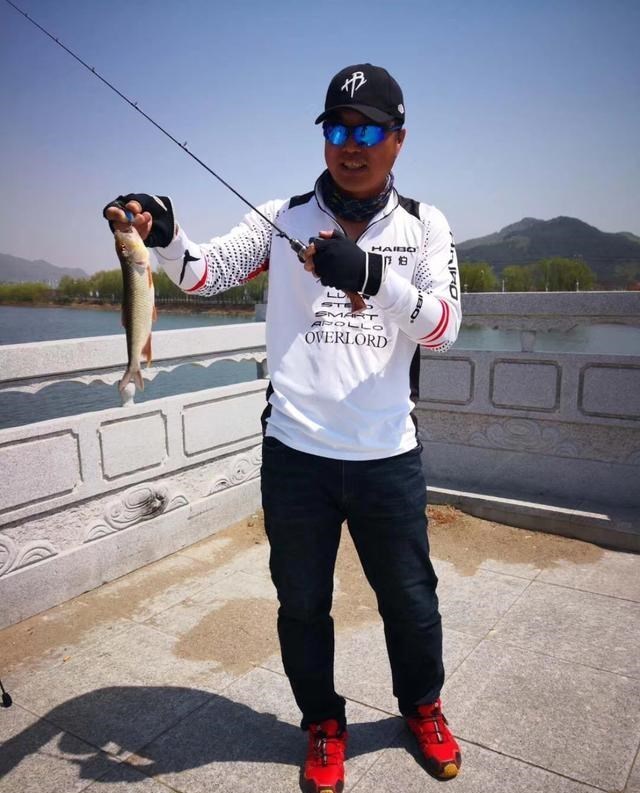 清明节|莱芜钓鱼人钓起许多“大马口”，这么大的马口山东才有？