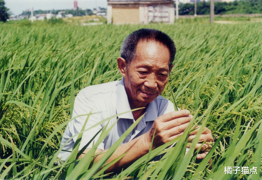 橘子猫点 袁隆平生前朴实无华,平价服饰爱不释手,饮食简单,住居让人心酸