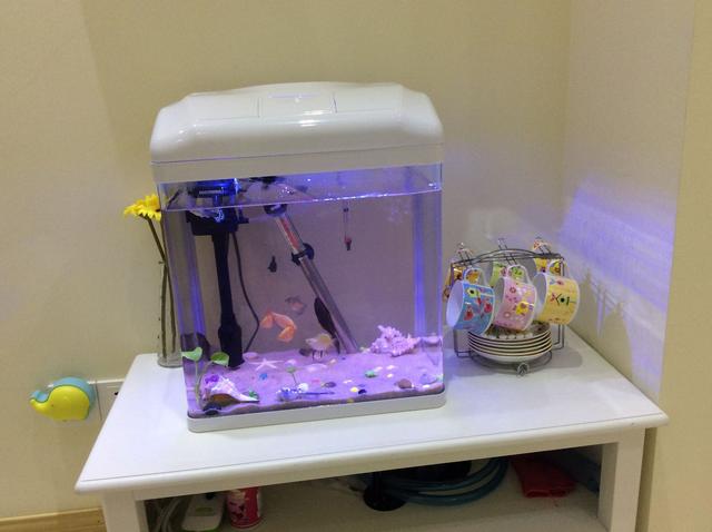 420万深圳买52平房，主卧在客厅，厕所在厨房，估计你们没见过！