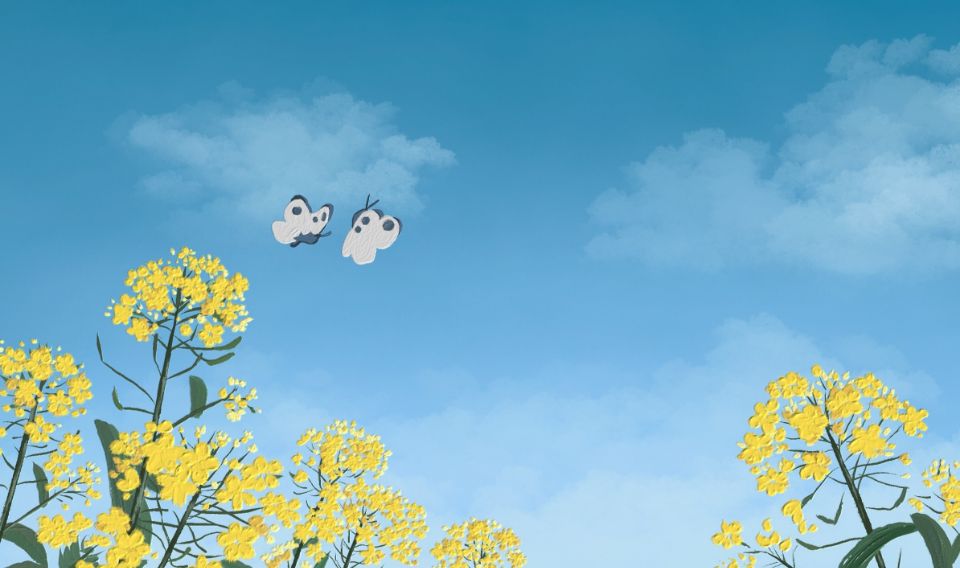 赵名辉塔罗 赵名辉塔罗牌测试:他为什么不爱我?